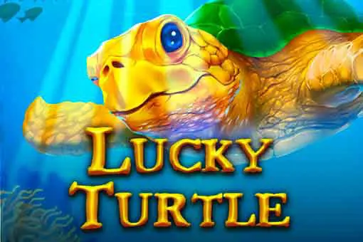 Lucky Turtle 